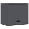 vidaXL Armoire murale pour garage Anthracite 60 x 40 x 53 cm