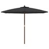 vidaXL Parasol de jardin avec m&acirc;t en bois noir 299x240 cm