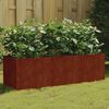 vidaXL Lit sur&eacute;lev&eacute; de jardin 120x40x40 cm acier corten