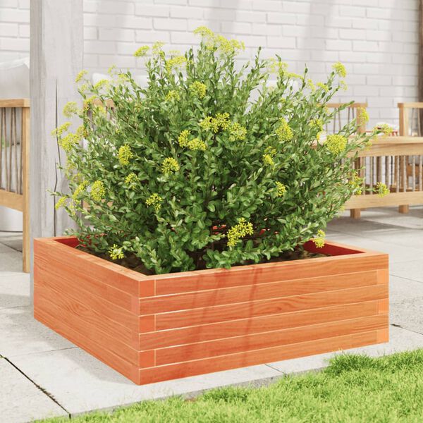 vidaXL Jardini&egrave;re cire marron 70x70x23 cm bois de pin massif