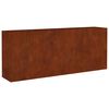 vidaXL Lit sur&eacute;lev&eacute; de jardin 200x40x80 cm acier corten