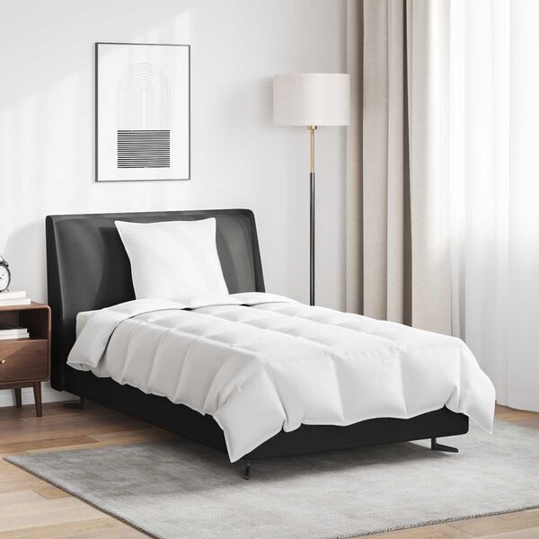 vidaXL Duvet d'été simple avec oreiller 2 pcs Blanc Plume de canard