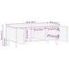 vidaXL Table basse 100 x 54 x 40 cm Bois de mangue massif