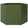 SteelGreen