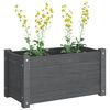 vidaXL Jardinières 2 pcs Gris 60x31x31 cm Bois de pin massif