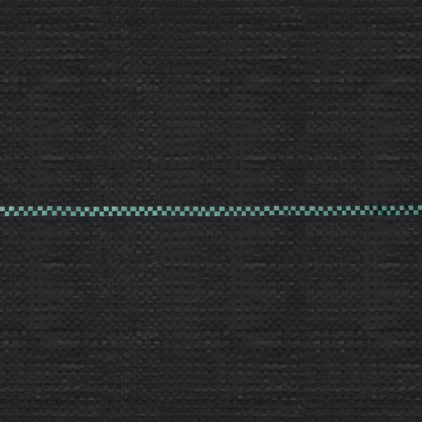 vidaXL Toile de paillage Noir 2x100 m PP