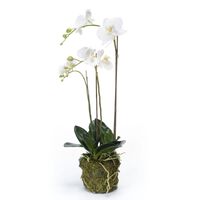 Emerald Orchidée phalaenopsis artificielle 70 cm Blanc