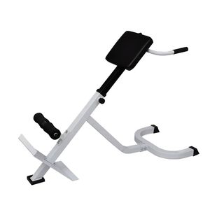 vidaXL Banc de musculation du dos