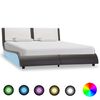 vidaXL Cadre de lit avec LED sans matelas Gris et blanc 120 x 190 cm