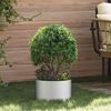 vidaXL Cache-pot de jardin 5 pcs Argent 30 x 30 x 20 cm