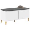 vidaXL Banc d'entr&eacute;e avec coussin avec stockage Blanc 100 x 38 x 46 cm