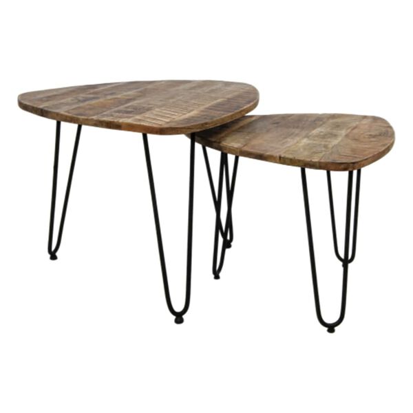 HSM Collection Ensemble de tables basses 2 pcs Dexter