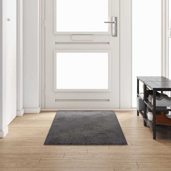 vidaXL Tapis Couloir Gris 80 x 250 cm