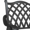 vidaXL Chaise de jardin 2 pcs Noir 56 x 55 x 92,5 cm Aluminium