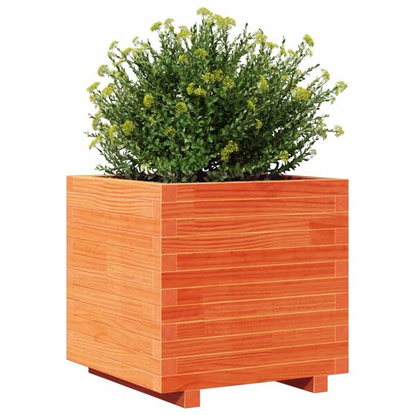 vidaXL Jardini&egrave;re cire marron 50x50x49,5 cm bois de pin massif