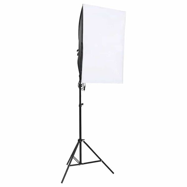 vidaXL Lampes de studio professionnelles 2 pcs 40x60 cm