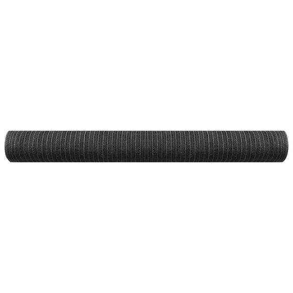 vidaXL Filet brise-vue Anthracite 2x50 m PEHD 150 g/m²