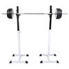 Support barres halt&egrave;res longs musculation