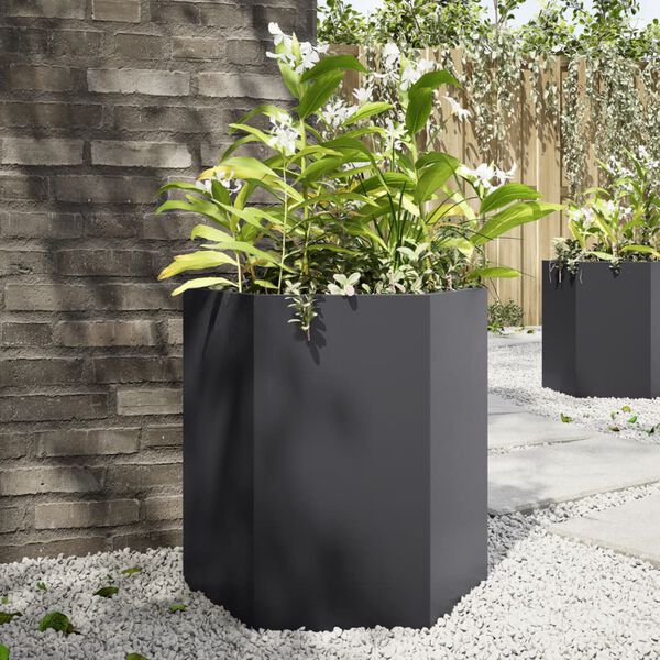 vidaXL Jardini&egrave;res 2 pcs noir hexagone 46x40x45 cm acier
