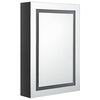 vidaXL Armoire de salle de bain à miroir LED noir brillant 50x13x70 cm