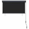 vidaXL Store roulant d'ext&eacute;rieur 120 x 250 cm Anthracite