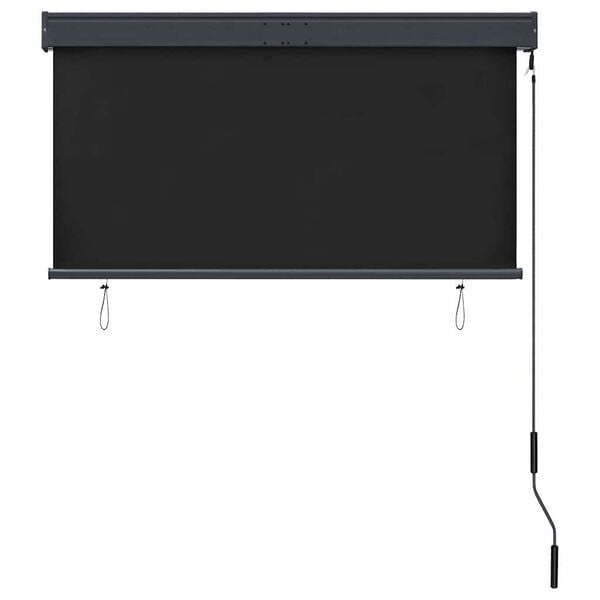 vidaXL Store roulant d'ext&eacute;rieur 120 x 250 cm Anthracite