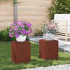vidaXL Support de Plante 2 pcs Rouill&eacute; 24 x 24 x 35 cm Acier patin&eacute;