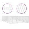 vidaXL Chenil d'extérieur pour chiens argenté 6x10x2 m acier galvanisé