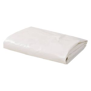 vidaXL B&acirc;che 650 g / m&sup2; 5 x 6 m Blanc