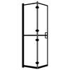vidaXL Cabine de douche pliable ESG 100x140 cm Noir