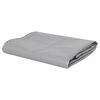 vidaXL B&acirc;che 650 g / m&sup2; 1,5 x 6 m Gris