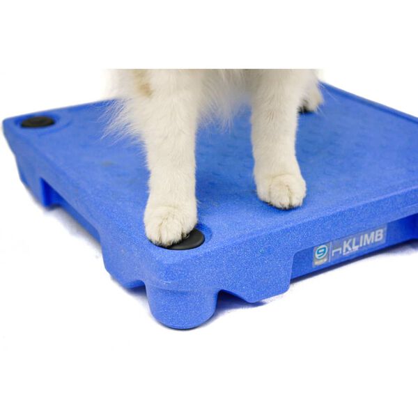 BLUE-9 Pieds de s&eacute;curit&eacute; pour syst&egrave;me de dressage de chien KLIMB 4 pcs