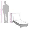 vidaXL Chaise longue avec roues et coussin noir résine tressée