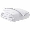 vidaXL Duvet d'hiver Blanc 260 x 220 cm Plume