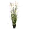 Emerald Herbe de pampa artificielle avec pot 160 cm
