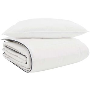 vidaXL Duvet d'hiver avec oreiller 2 pcs Blanc Plume de canard
