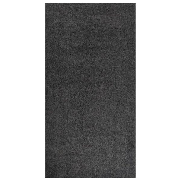 vidaXL Tapis shaggy &agrave; poils longs Anthracite 80x150 cm