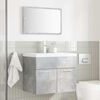 vidaXL Ensemble de meubles de salle de bain 2 pcs gris b&eacute;ton