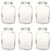 vidaXL Pots &agrave; confiture en verre avec serrure 6 pcs 5 L