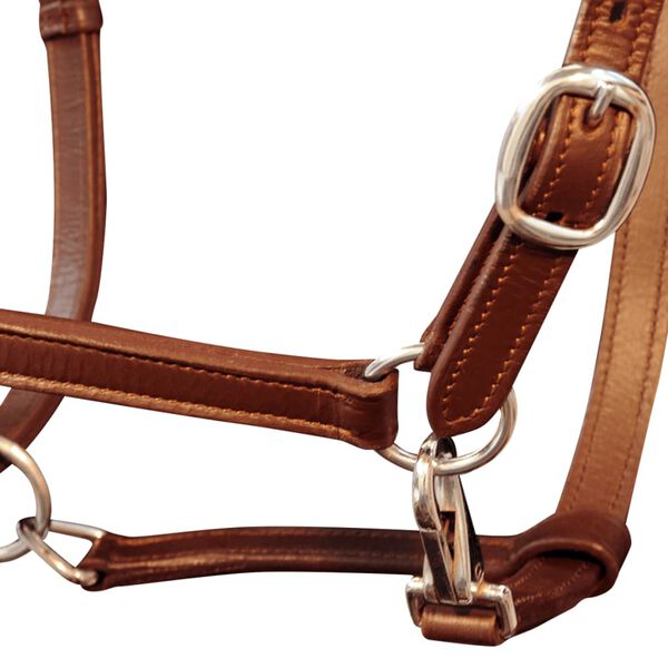 Licol Licou en cuir r&eacute;glable pour &eacute;curie Cheval Marron
