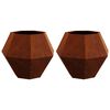 vidaXL Jardini&egrave;re 2 pc Rouill&eacute; 75 x 75 x 60 cm Acier patin&eacute;