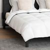 vidaXL Duvet d'hiver avec oreiller 3 pcs Blanc Plume de canard
