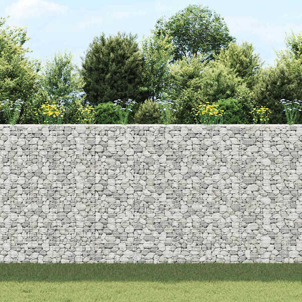vidaXL Lits sur&eacute;lev&eacute;s en gabion 3 pcs 30x30x200 cm Fer