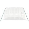 vidaXL Serre avec cadre en acier Blanc 24 m&sup2; 6x4x2,85 m