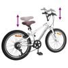 vidaXL V&eacute;lo de Montagne 20 Pouces 6-Speed pour 5-8 ans Blanc