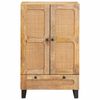 vidaXL Haut Armoire Marron 40 x 33 x 110 cm Bois de mangue massif