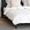 vidaXL Ensemble de Duvet avec oreiller 3 pcs Blanc Plume de canard