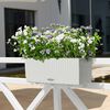 LECHUZA Jardinière BALCONERA Cottage 50 ALL-IN-ONE Blanc