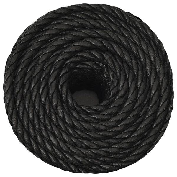 vidaXL Corde de travail Noir 10 mm 250 m polypropyl&egrave;ne