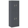 vidaXL Armoire de rangement 2 pc Anthracite 60 x 40 x 175 cm Acier